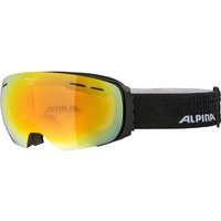 ALPINA Skibrille "Granby HM"