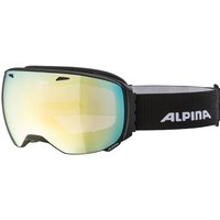 ALPINA Skibrille Big Horn MM