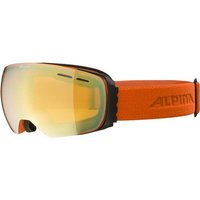 ALPINA Skibrille "Granby HM"