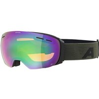 ALPINA Skibrille "Granby HM"