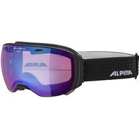 ALPINA Skibrille Big Horn MM